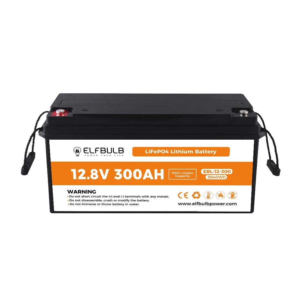 12V 24V Lithium Battery (4)